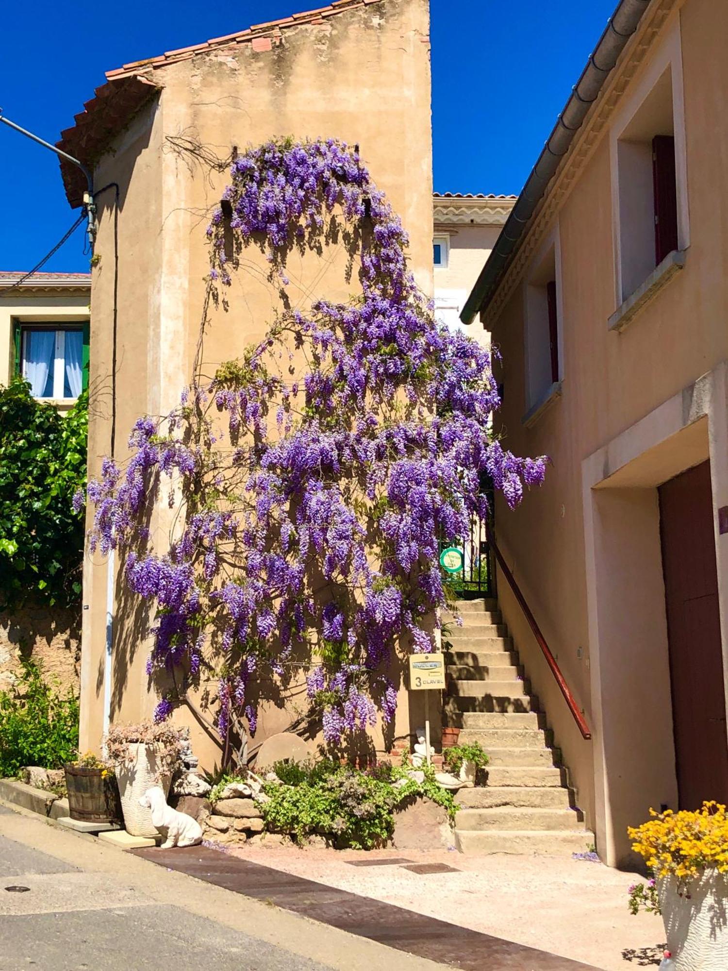Maison Du Midi, 2 Gites De Charme Ginestas Eksteriør billede