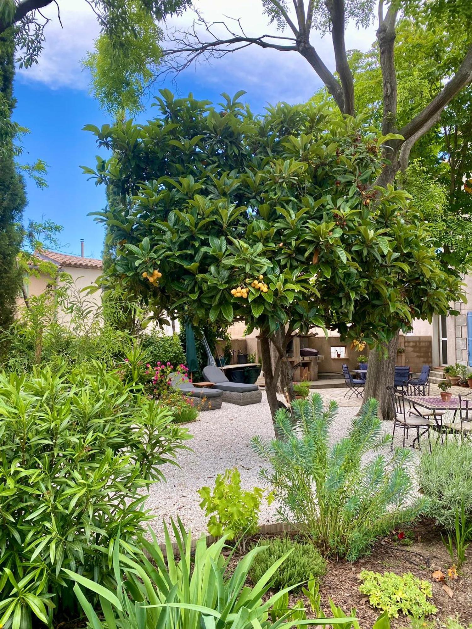 Maison Du Midi, 2 Gites De Charme Ginestas Eksteriør billede